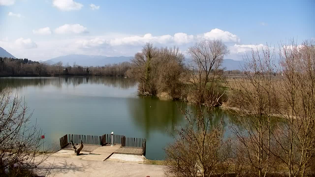 Webcam Ribnik Vrbje – Žalec