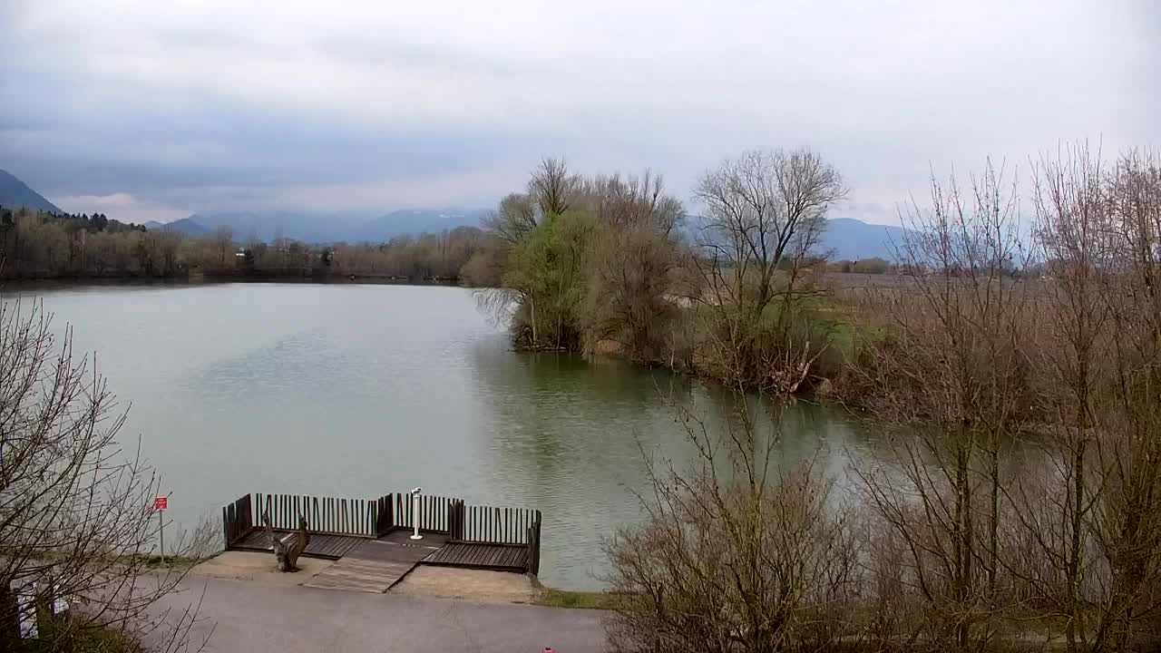 Webcam Ribnik Vrbje – Žalec