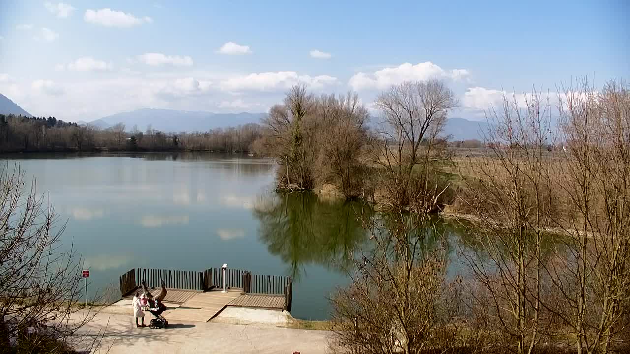 Webcam Ribnik Vrbje – Žalec