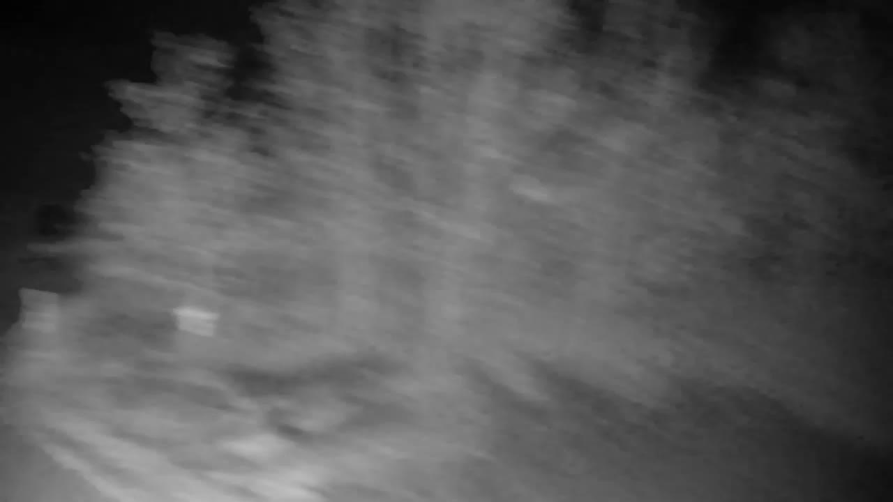 Webcam Ribnik Vrbje – Žalec