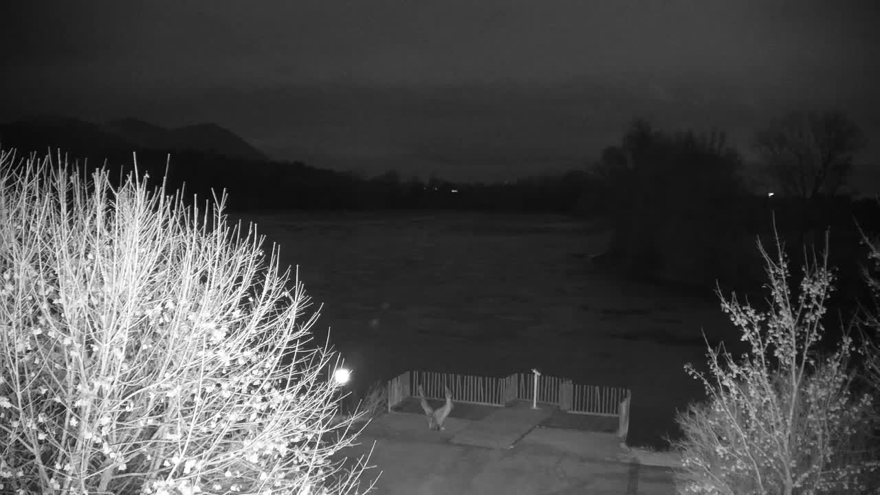 Webcam Ribnik Vrbje – Žalec