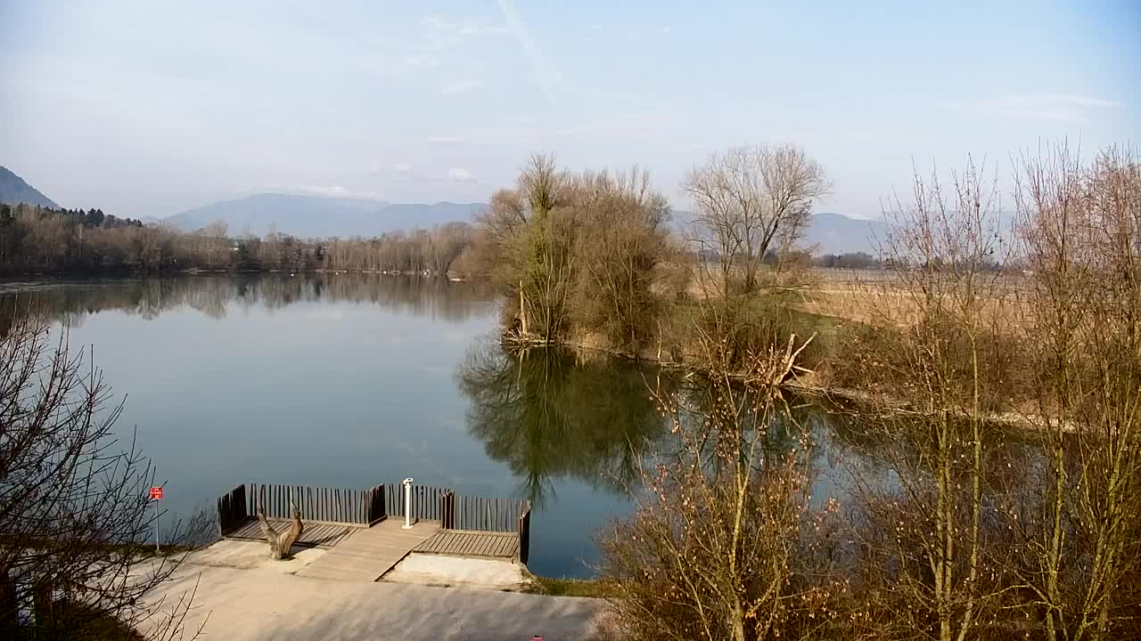 Webcam Ribnik Vrbje – Žalec