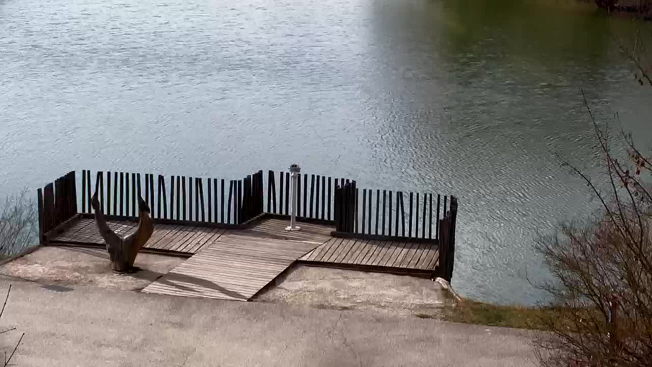 Spletna kamera Ribnik Vrbje – Žalec