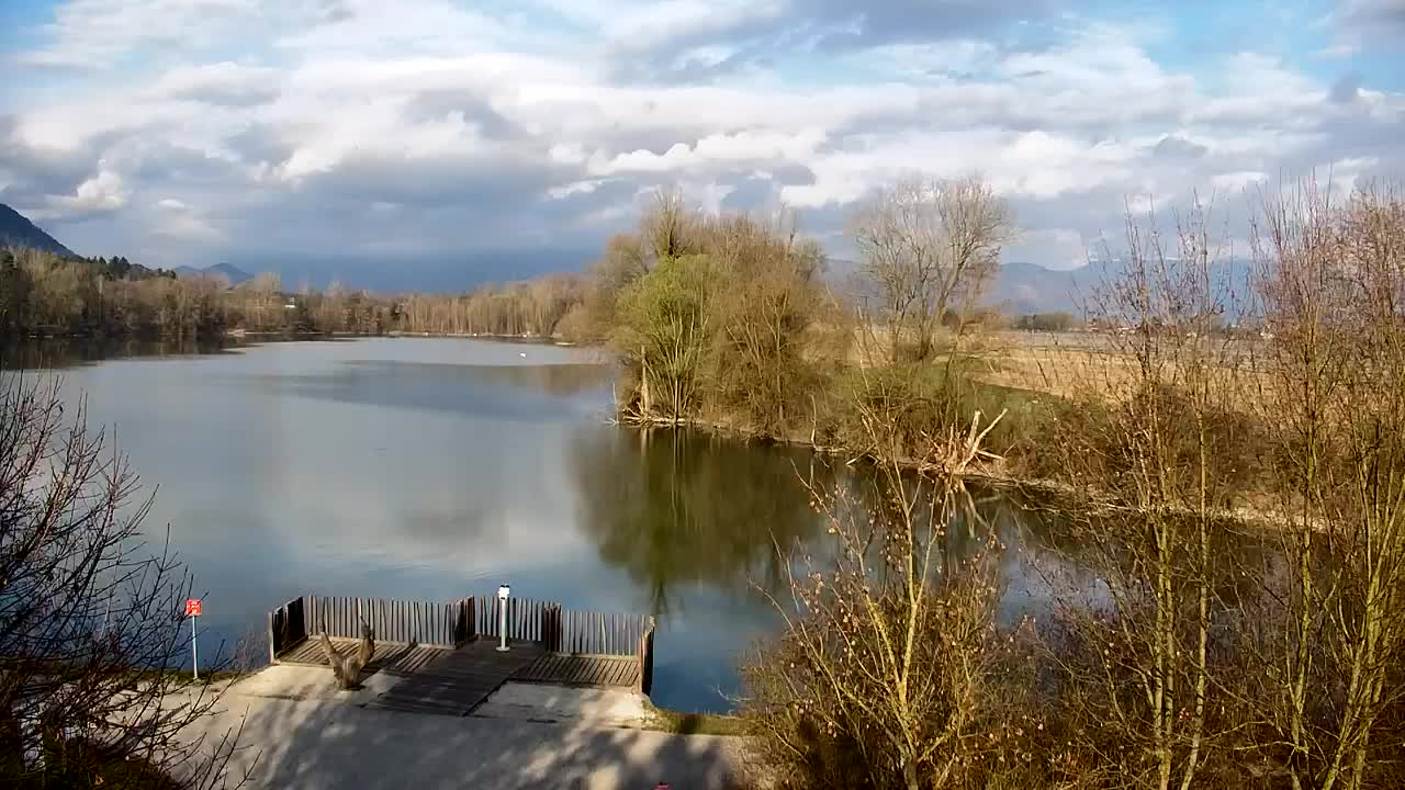 Webcam Ribnik Vrbje – Žalec