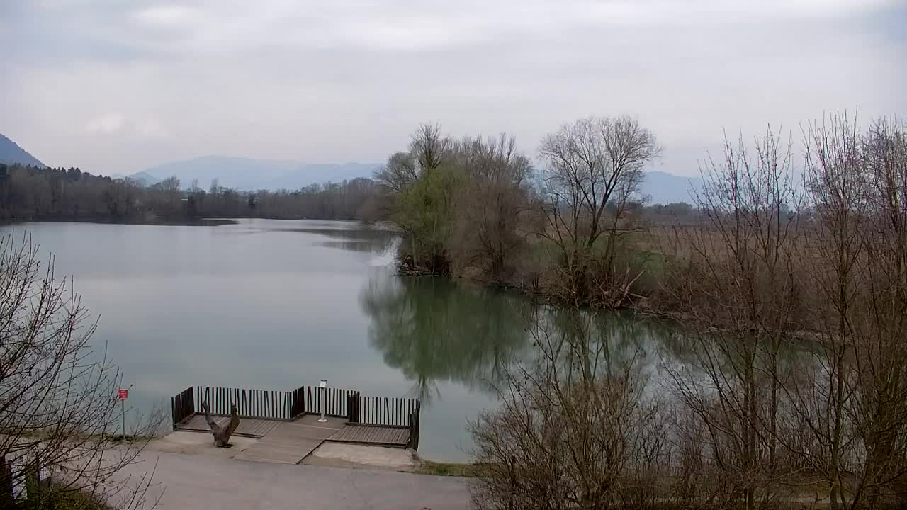 Spletna kamera Ribnik Vrbje – Žalec