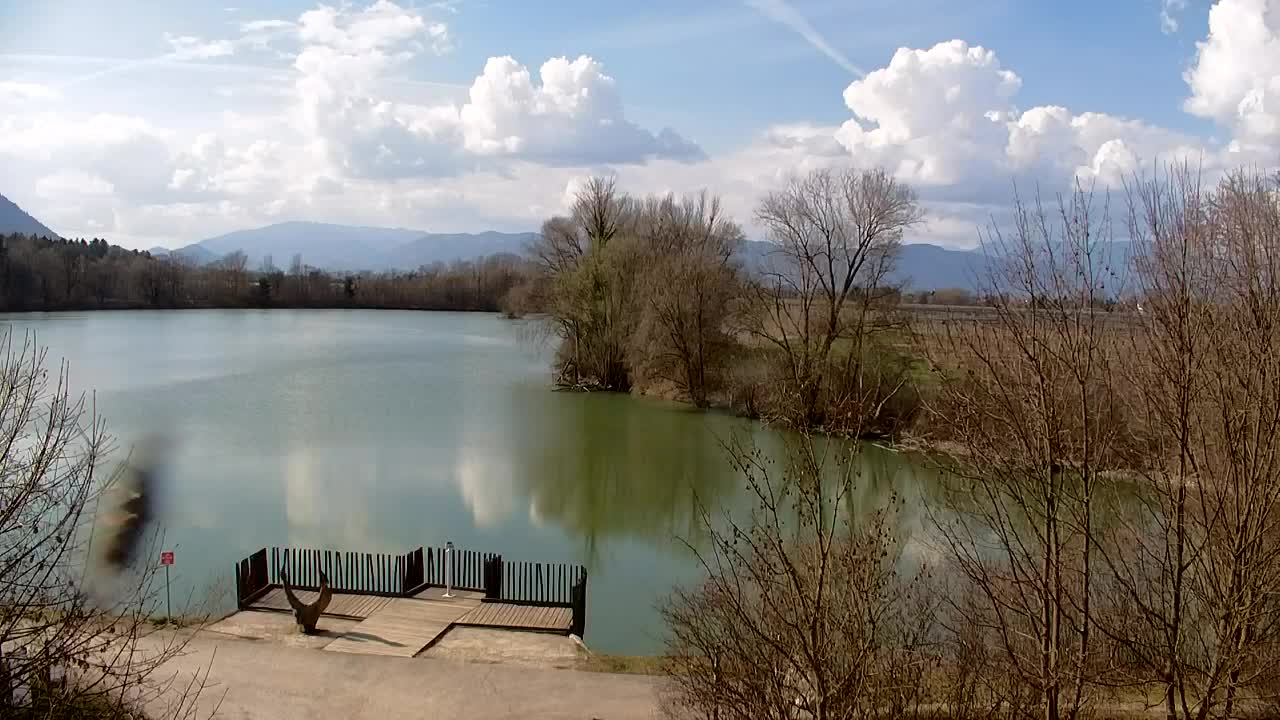 Webcam Ribnik Vrbje – Žalec