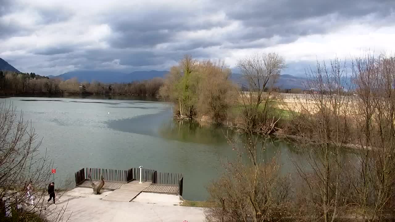 Webcam Ribnik Vrbje – Žalec