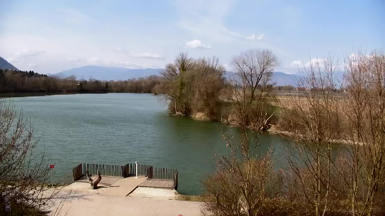 Webcam Ribnik Vrbje – Žalec