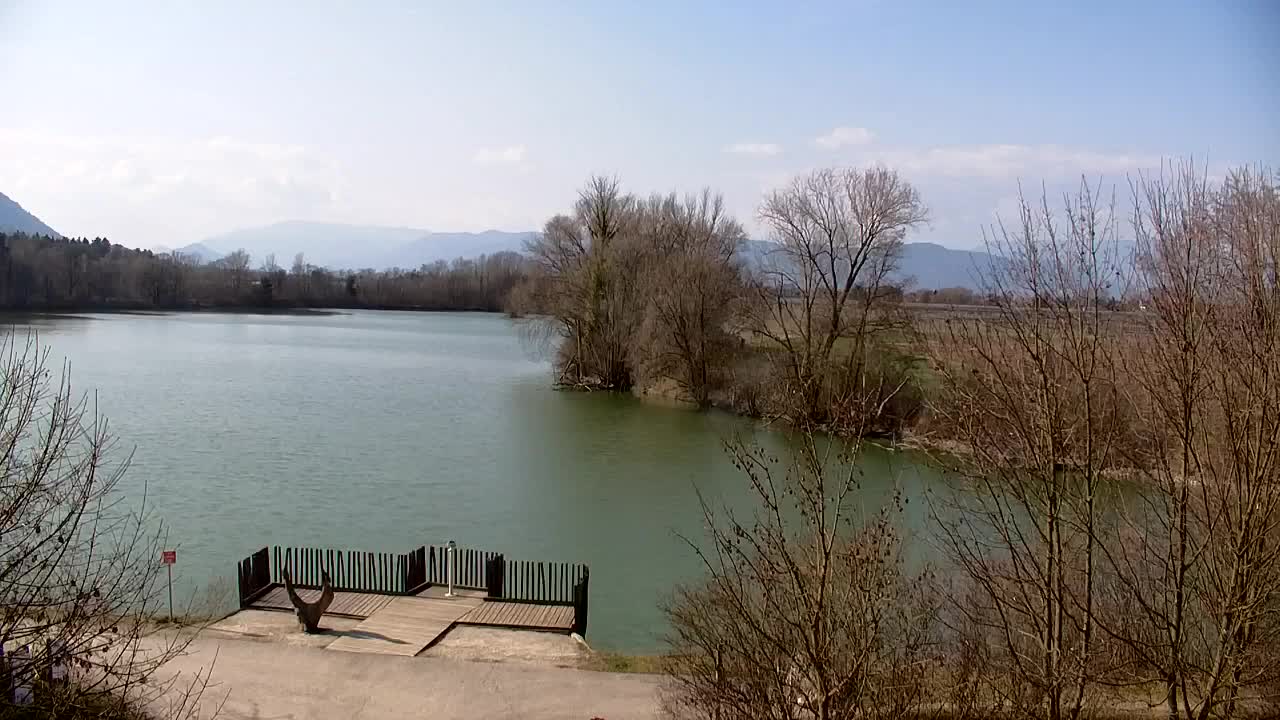 Webcam Ribnik Vrbje – Žalec