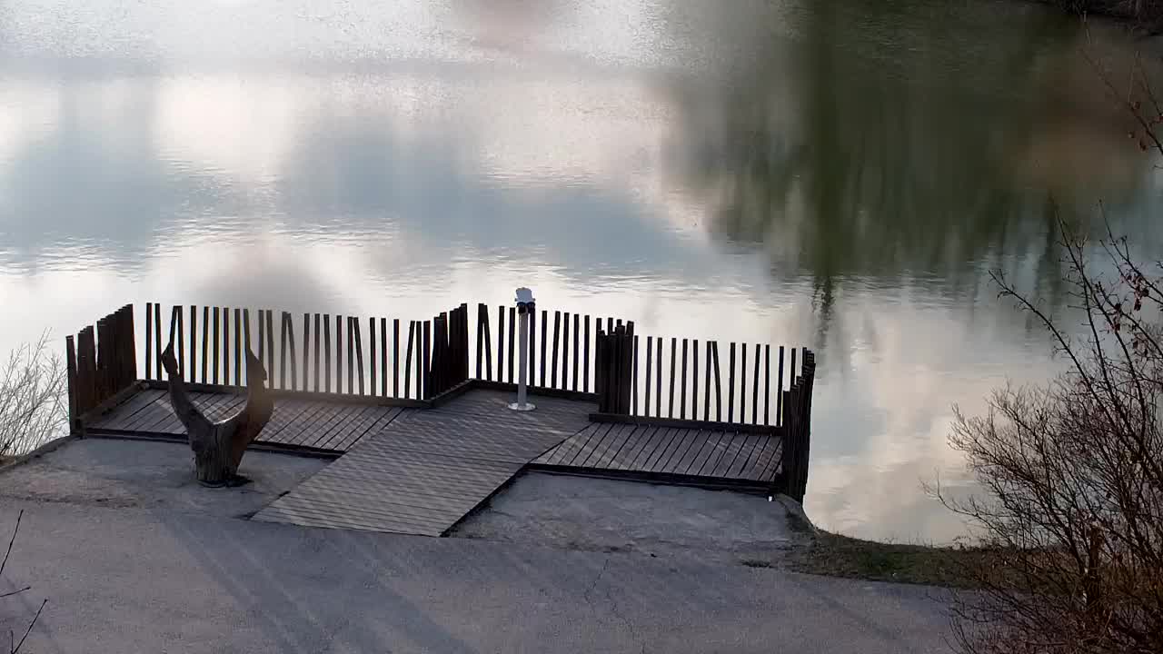 Webcam Ribnik Vrbje – Žalec