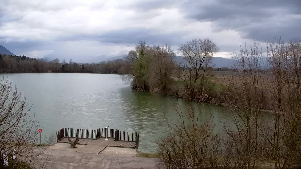 Web kamera Ribnik Vrbje – Žalec