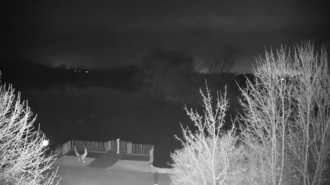 Web kamera Ribnik Vrbje – Žalec