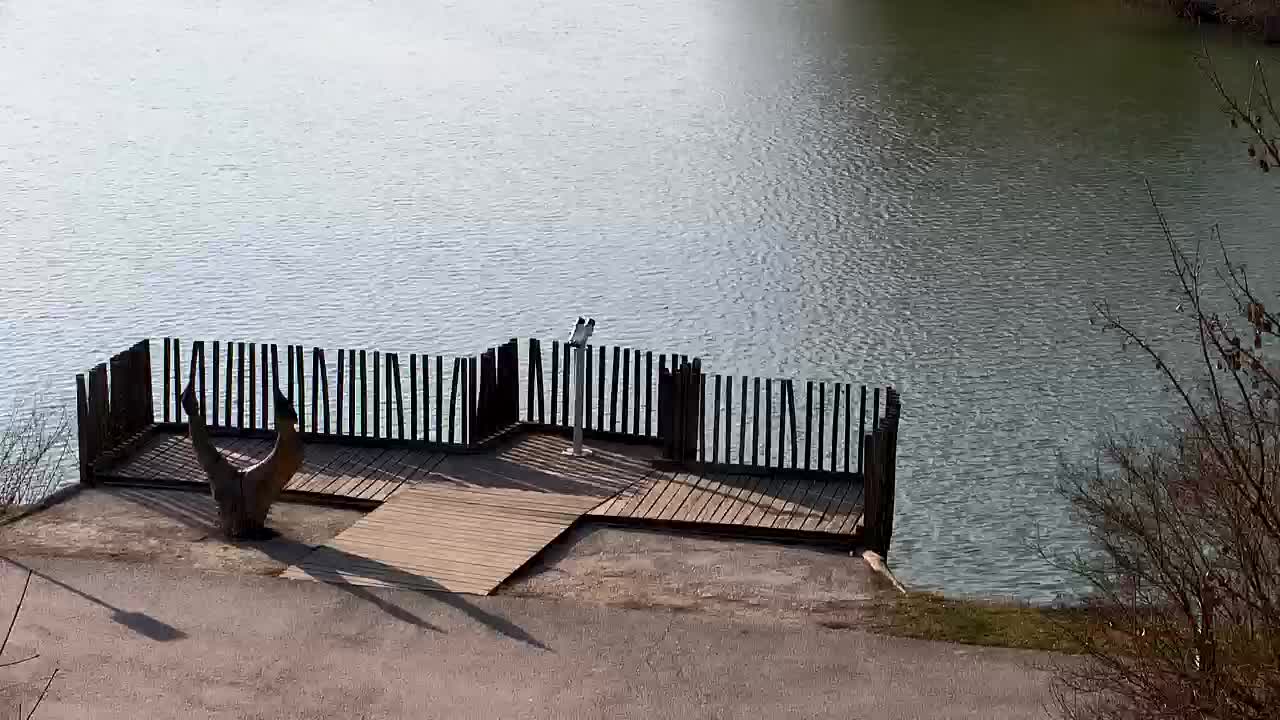 Webcam Ribnik Vrbje – Žalec