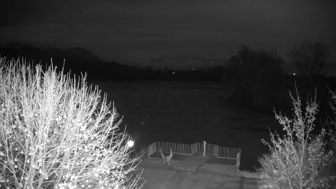 Webcam Ribnik Vrbje – Žalec