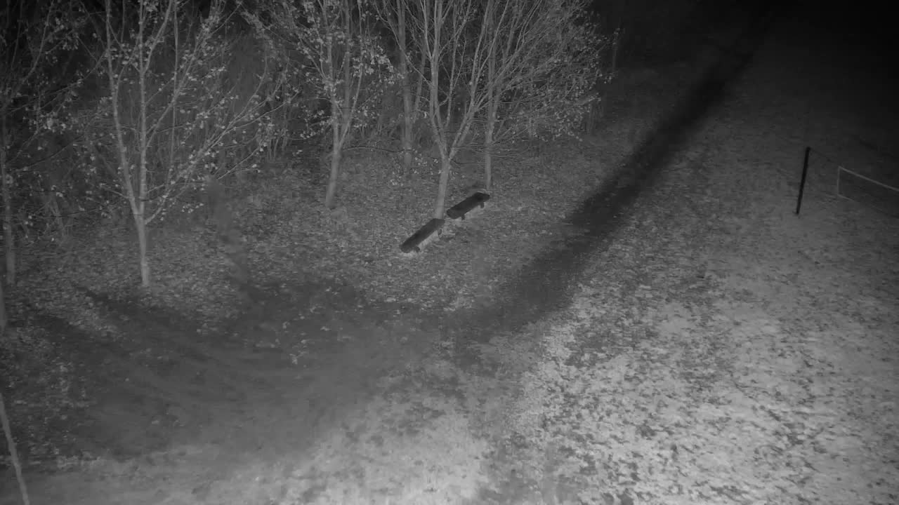 Spletna kamera Ribnik Vrbje – Žalec