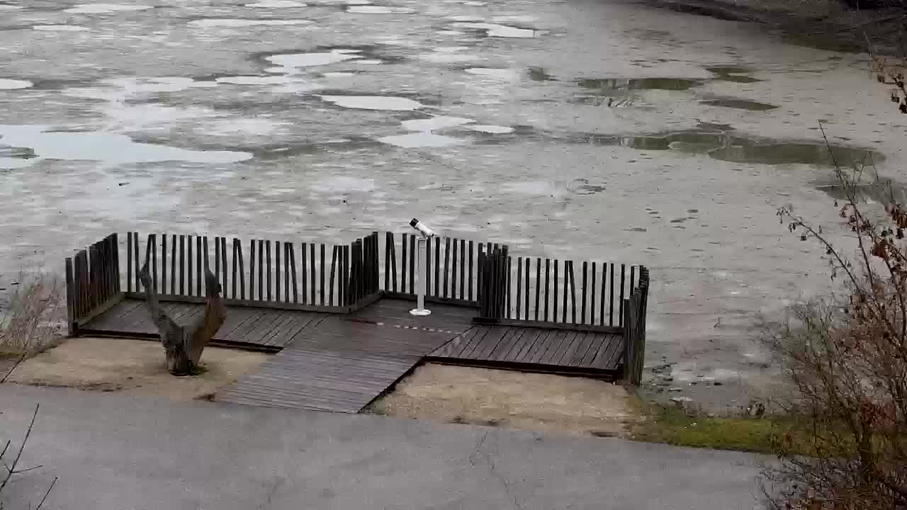 Spletna kamera Ribnik Vrbje – Žalec