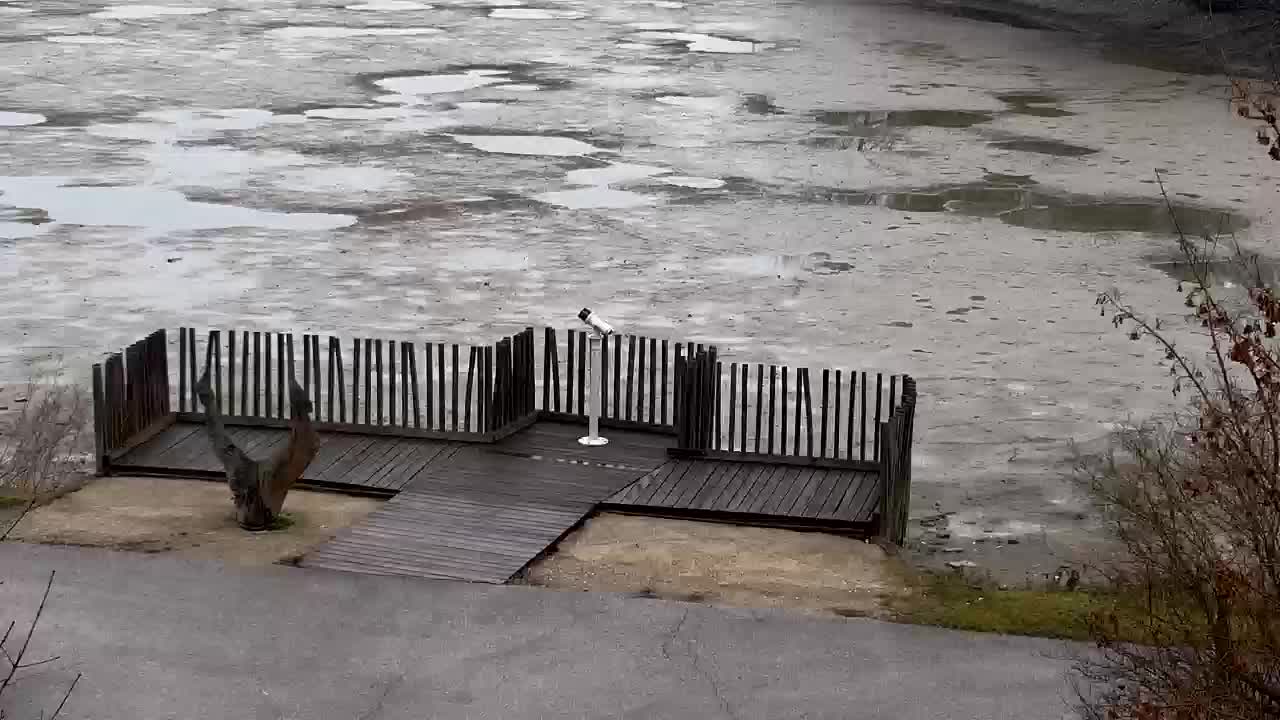 Webcam Ribnik Vrbje – Žalec