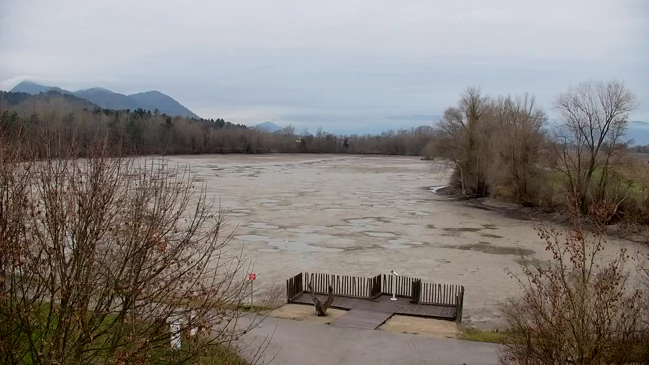 Webcam Ribnik Vrbje – Žalec