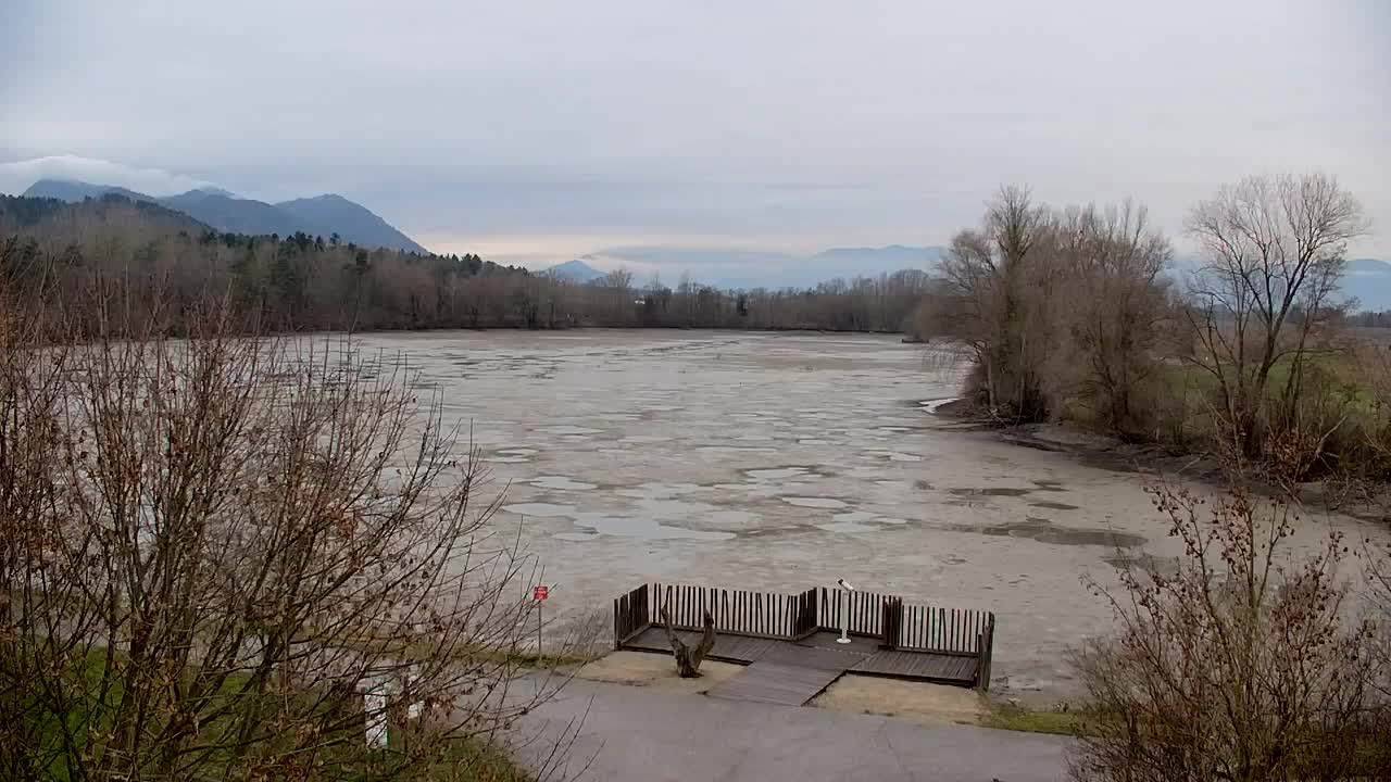 Webcam Ribnik Vrbje – Žalec