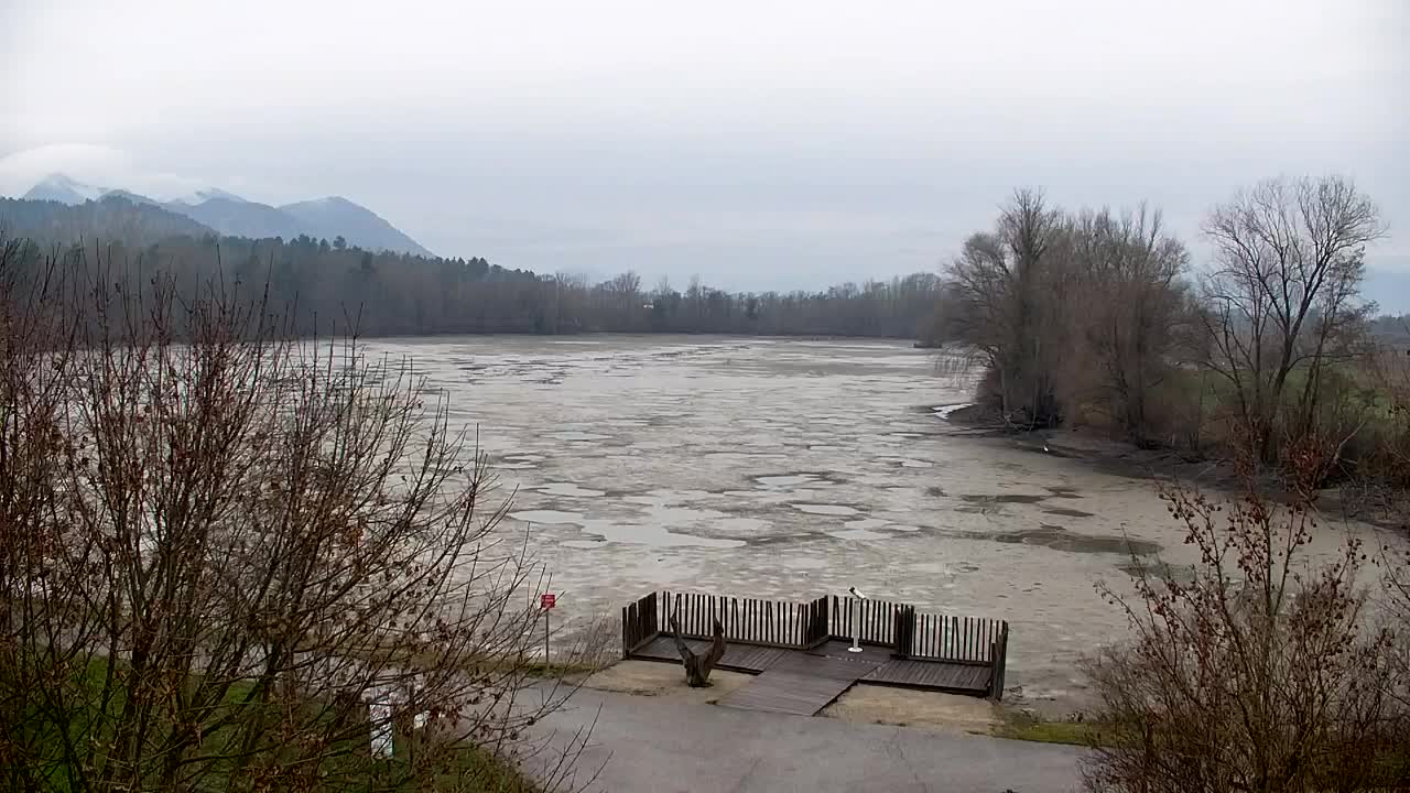 Spletna kamera Ribnik Vrbje – Žalec