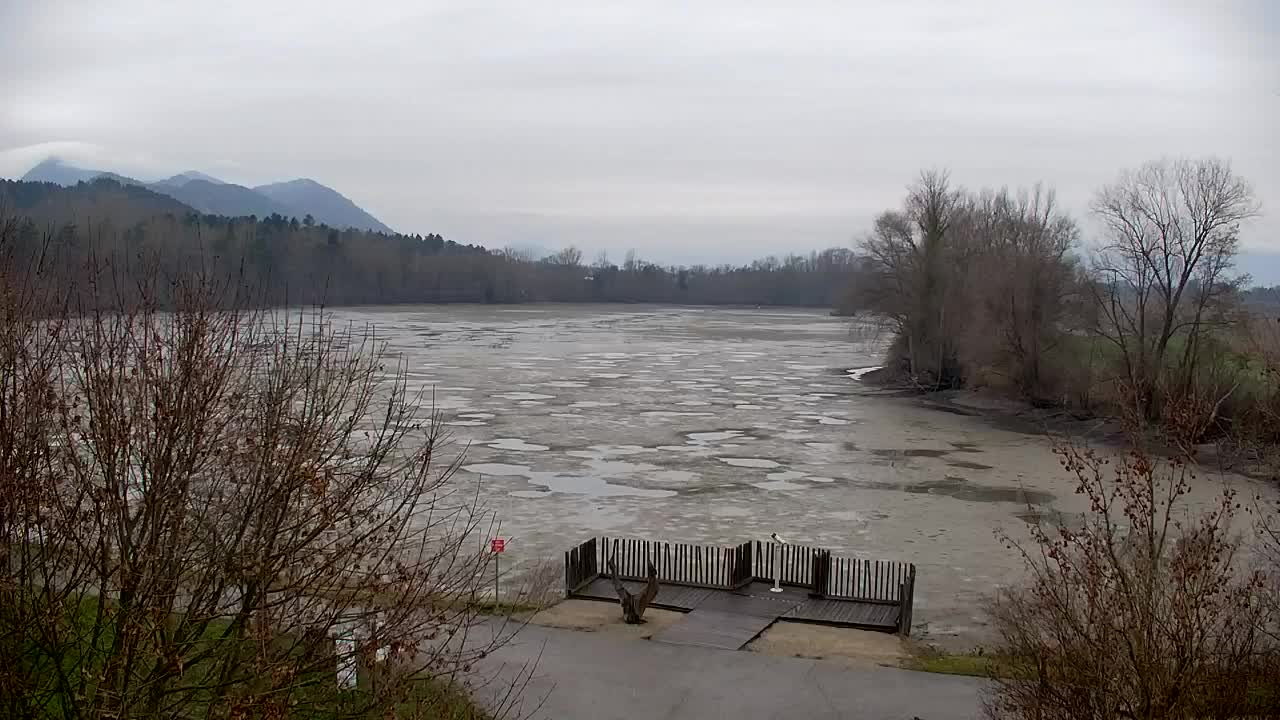 Webcam Ribnik Vrbje – Žalec