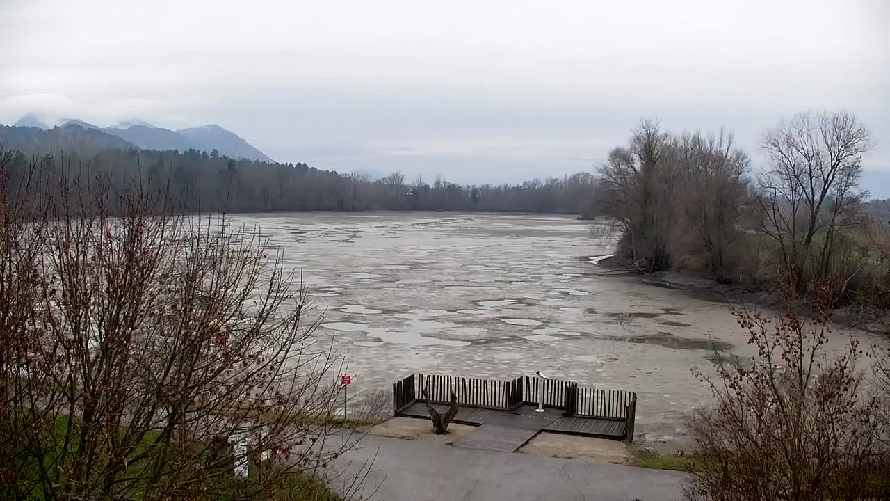 Webcam Ribnik Vrbje – Žalec