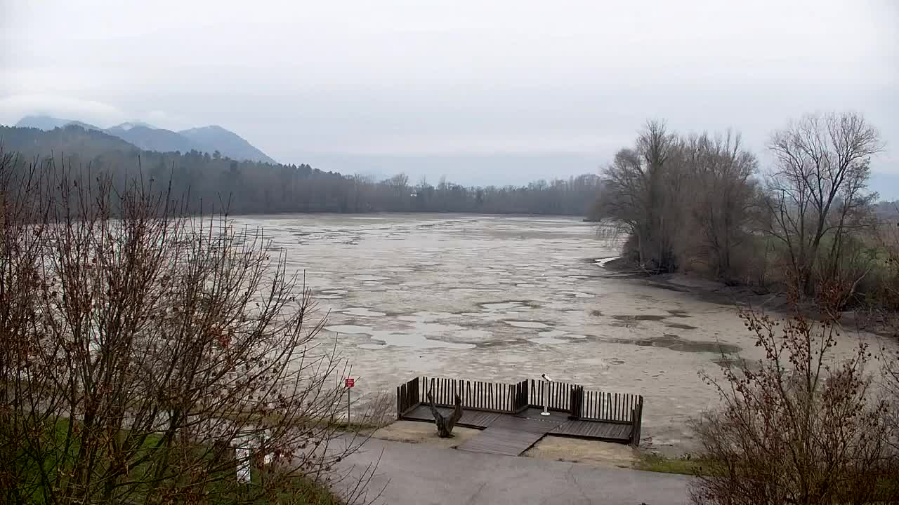 Webcam Ribnik Vrbje – Žalec