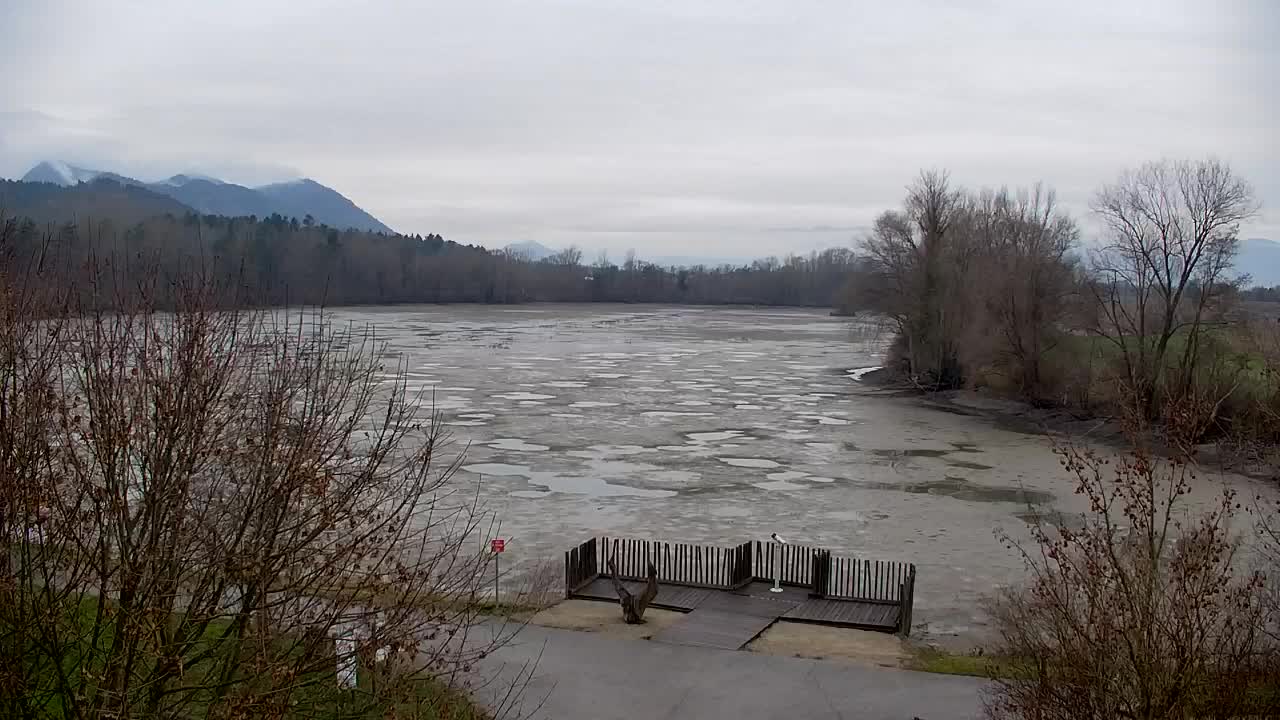 Webcam Ribnik Vrbje – Žalec