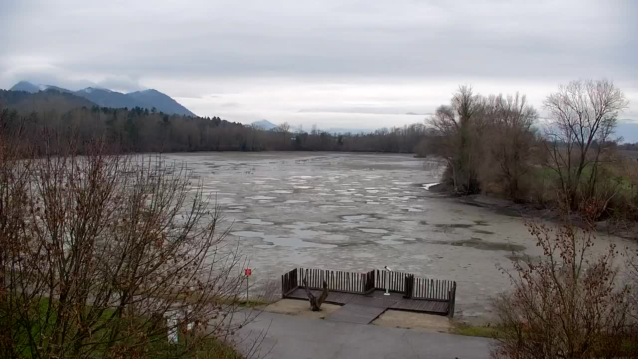 Webcam Ribnik Vrbje – Žalec