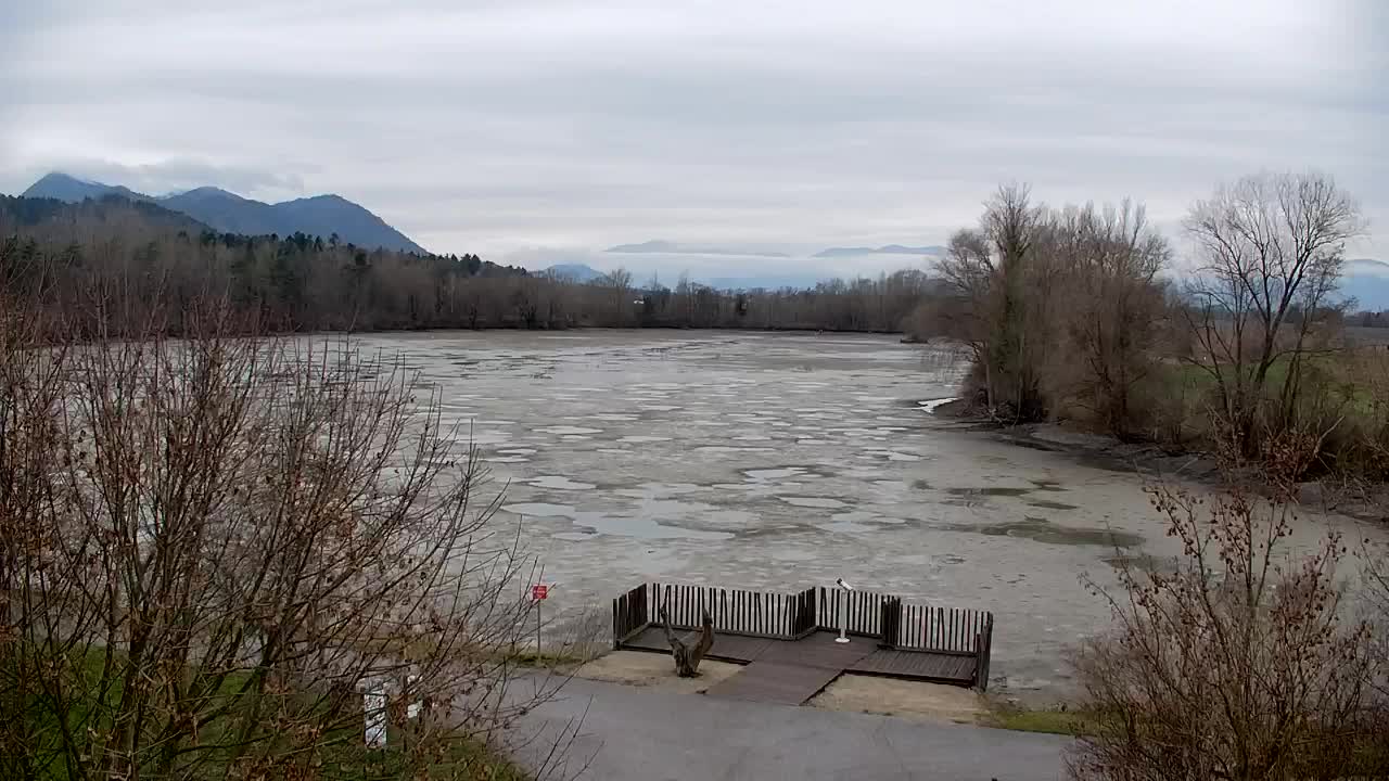 Webcam Ribnik Vrbje – Žalec