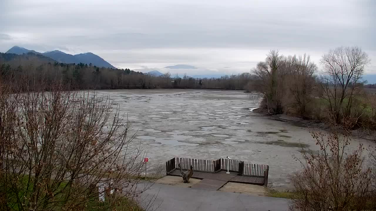 Webcam Ribnik Vrbje – Žalec