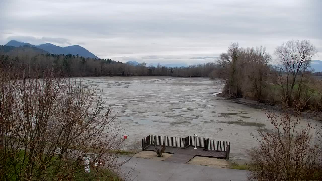 Web kamera Ribnik Vrbje – Žalec