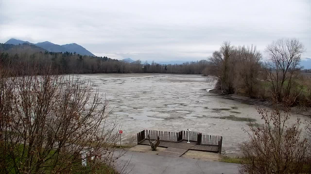 Webcam Ribnik Vrbje – Žalec