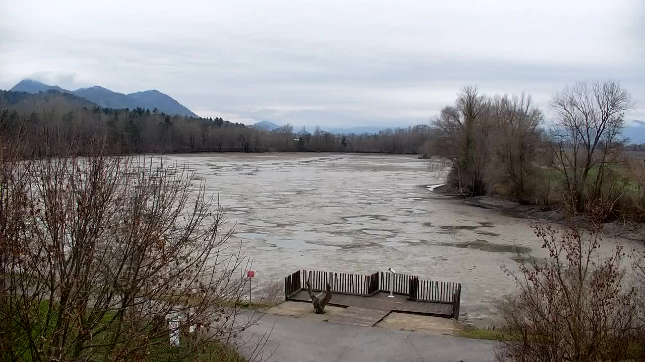 Spletna kamera Ribnik Vrbje – Žalec