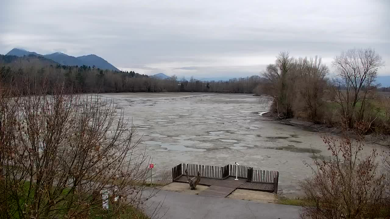 Webcam Ribnik Vrbje – Žalec