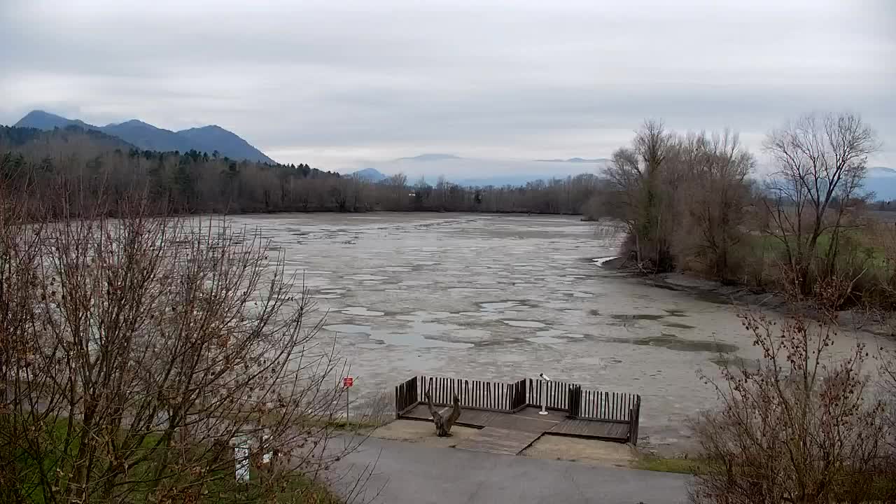 Webcam Ribnik Vrbje – Žalec
