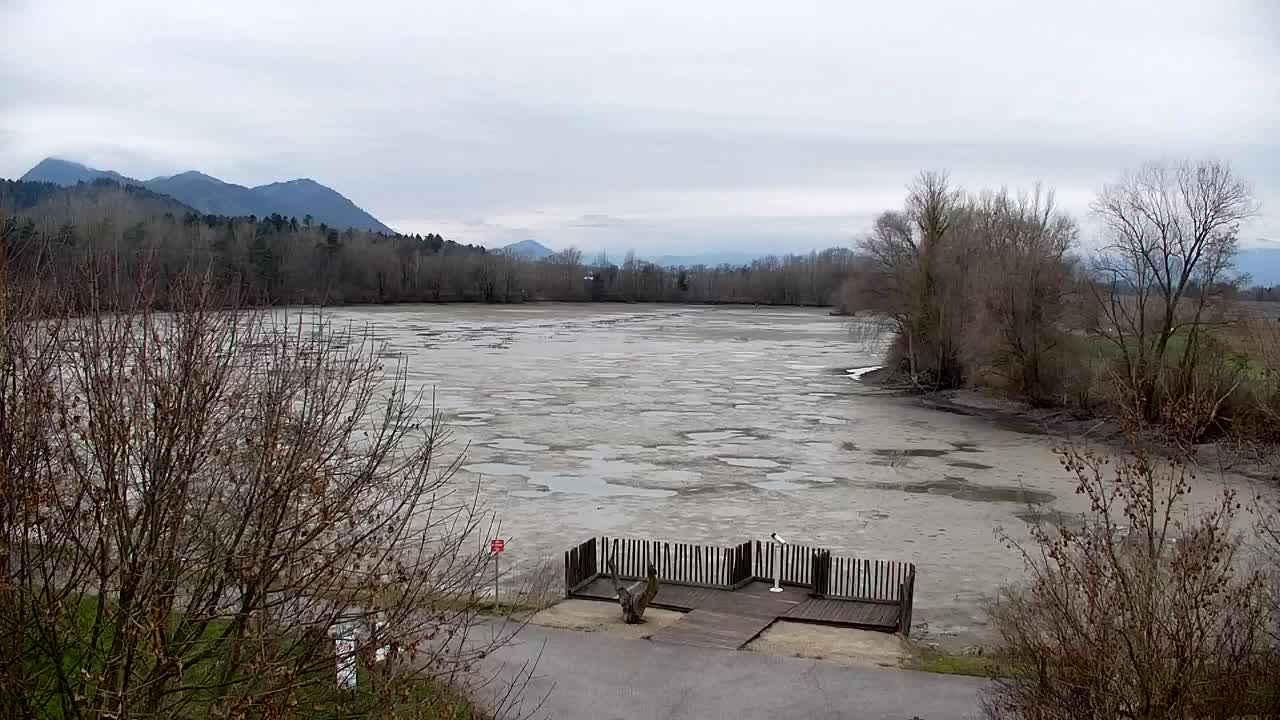 Webcam Ribnik Vrbje – Žalec