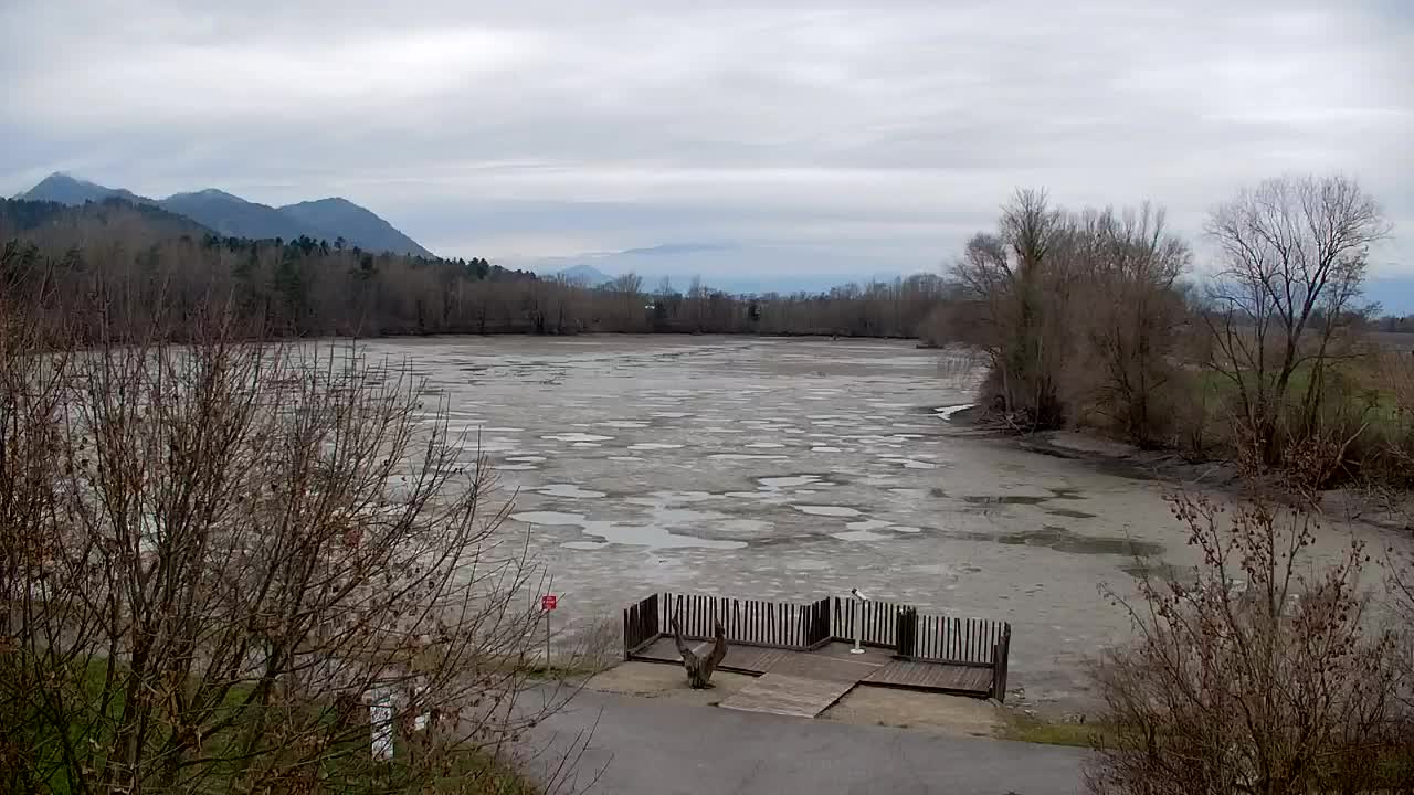 Webcam Ribnik Vrbje – Žalec