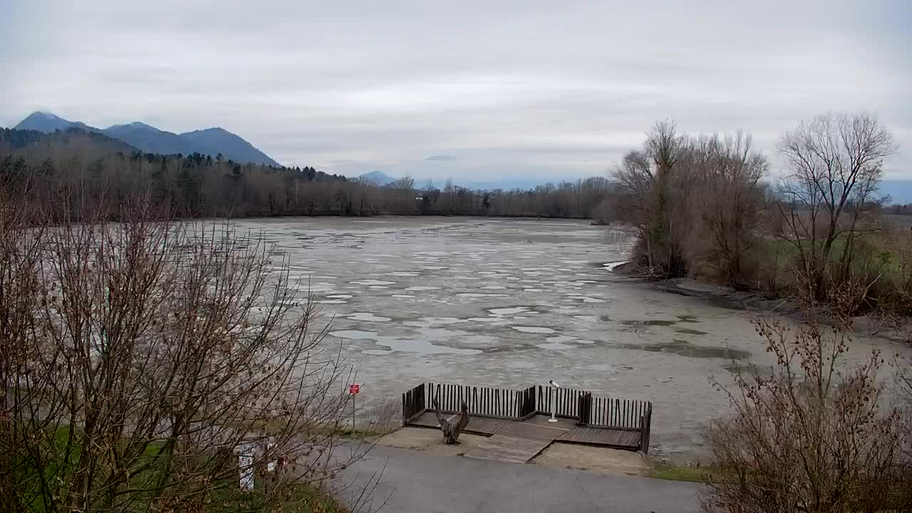 Webcam Ribnik Vrbje – Žalec