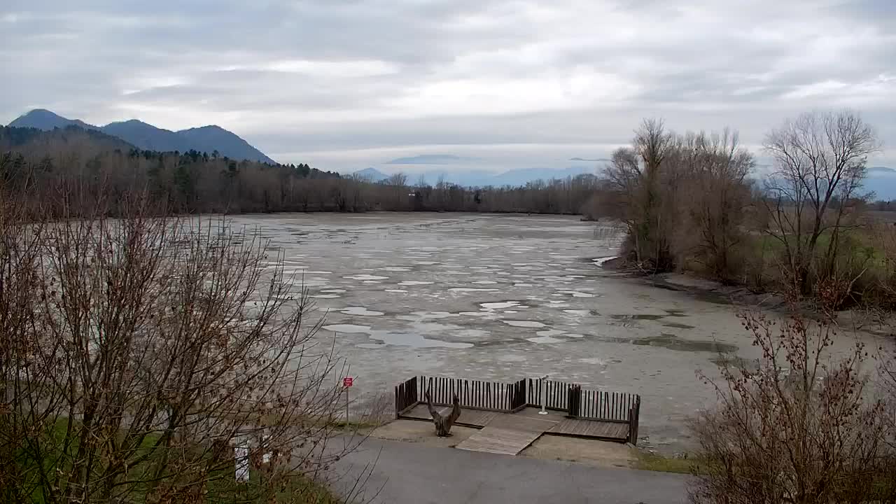 Spletna kamera Ribnik Vrbje – Žalec