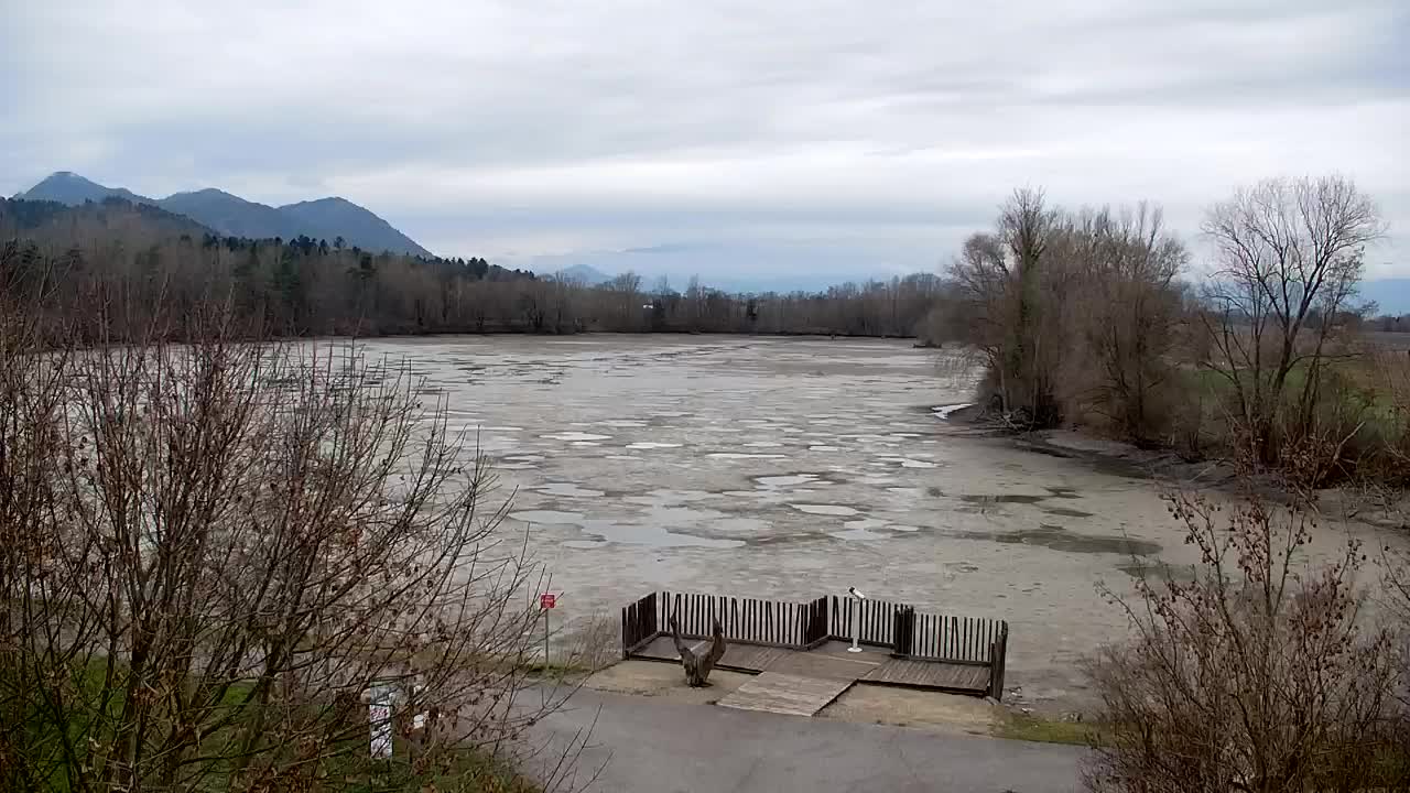 Webcam Ribnik Vrbje – Žalec