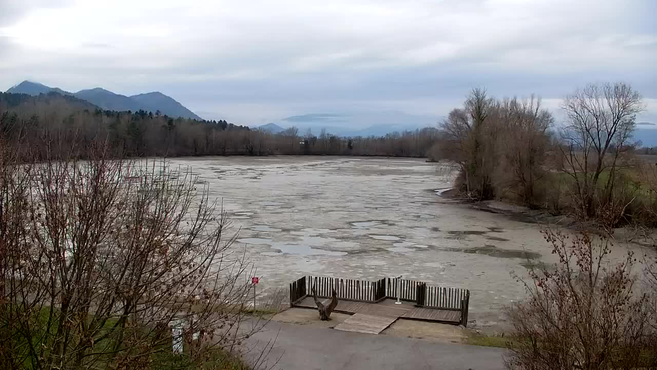 Webcam Ribnik Vrbje – Žalec