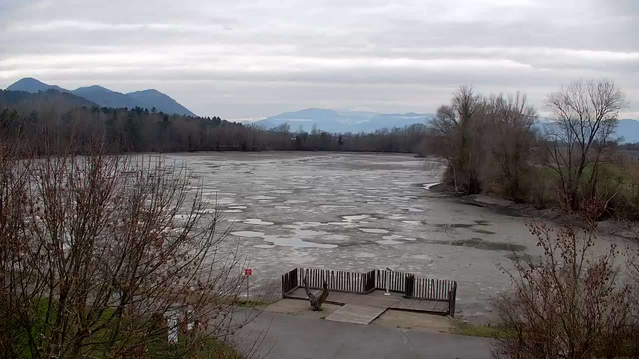Webcam Ribnik Vrbje – Žalec