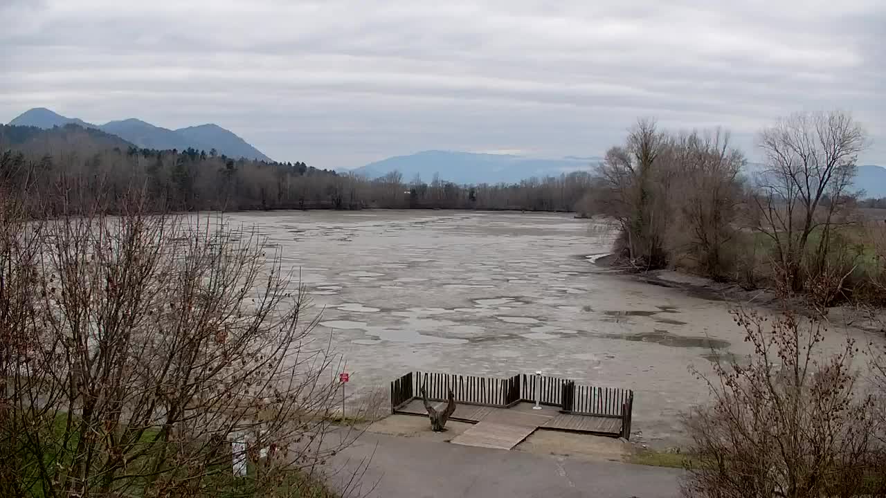 Webcam Ribnik Vrbje – Žalec