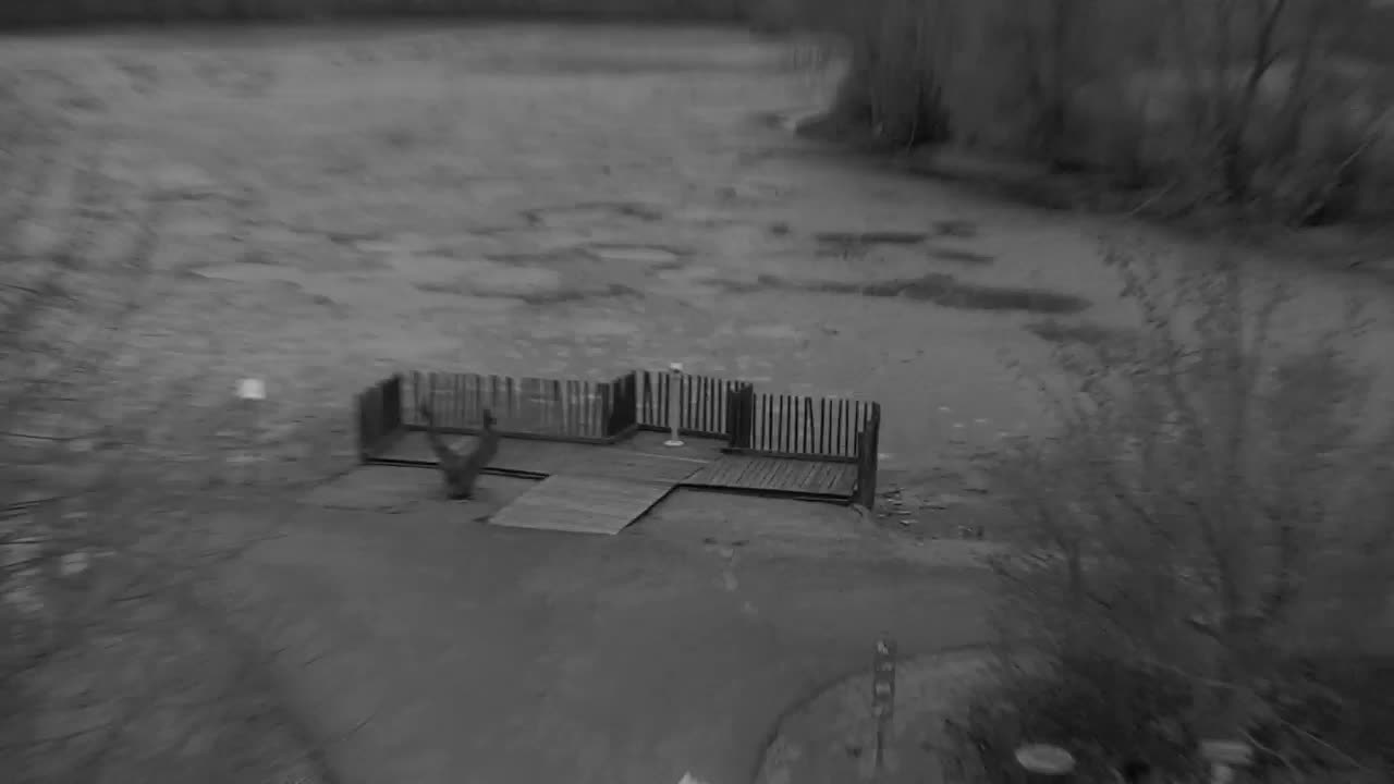 Webcam Ribnik Vrbje – Žalec