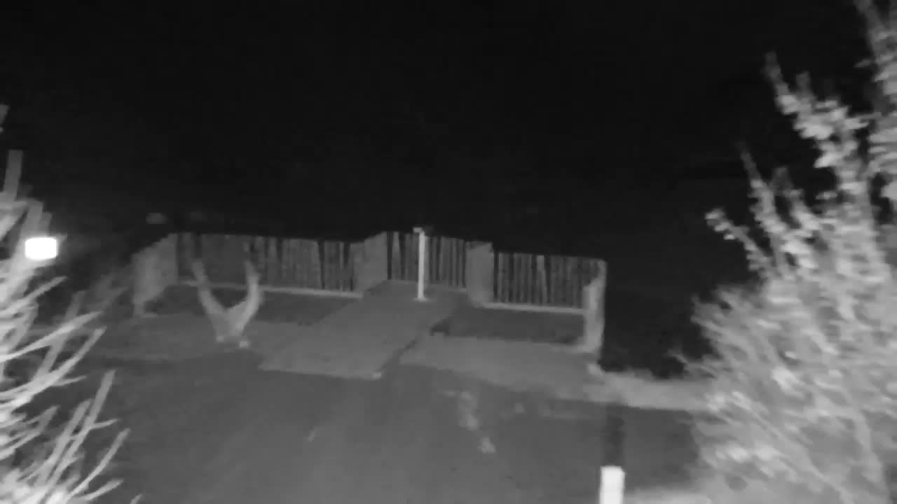 Webcam Ribnik Vrbje – Žalec