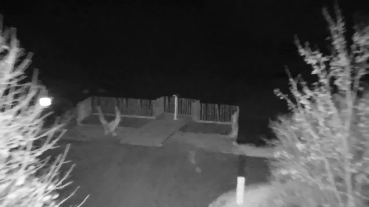 Webcam Ribnik Vrbje – Žalec