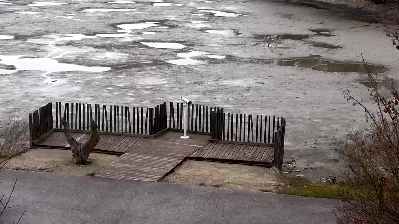 Webcam Ribnik Vrbje – Žalec