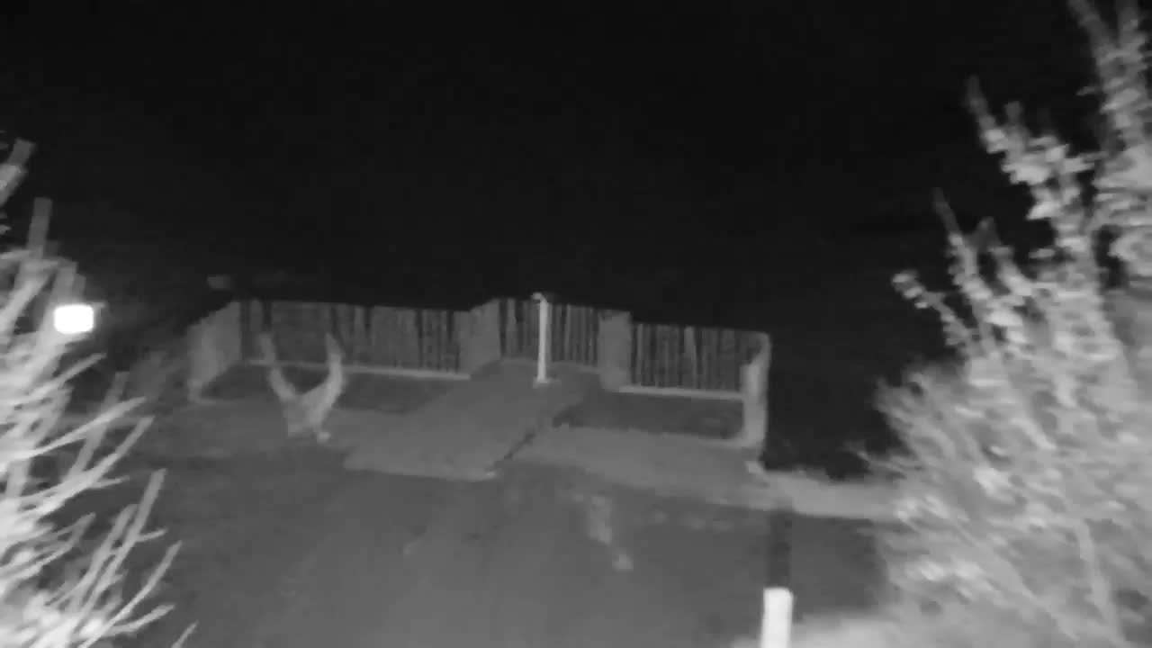 Webcam Ribnik Vrbje – Žalec