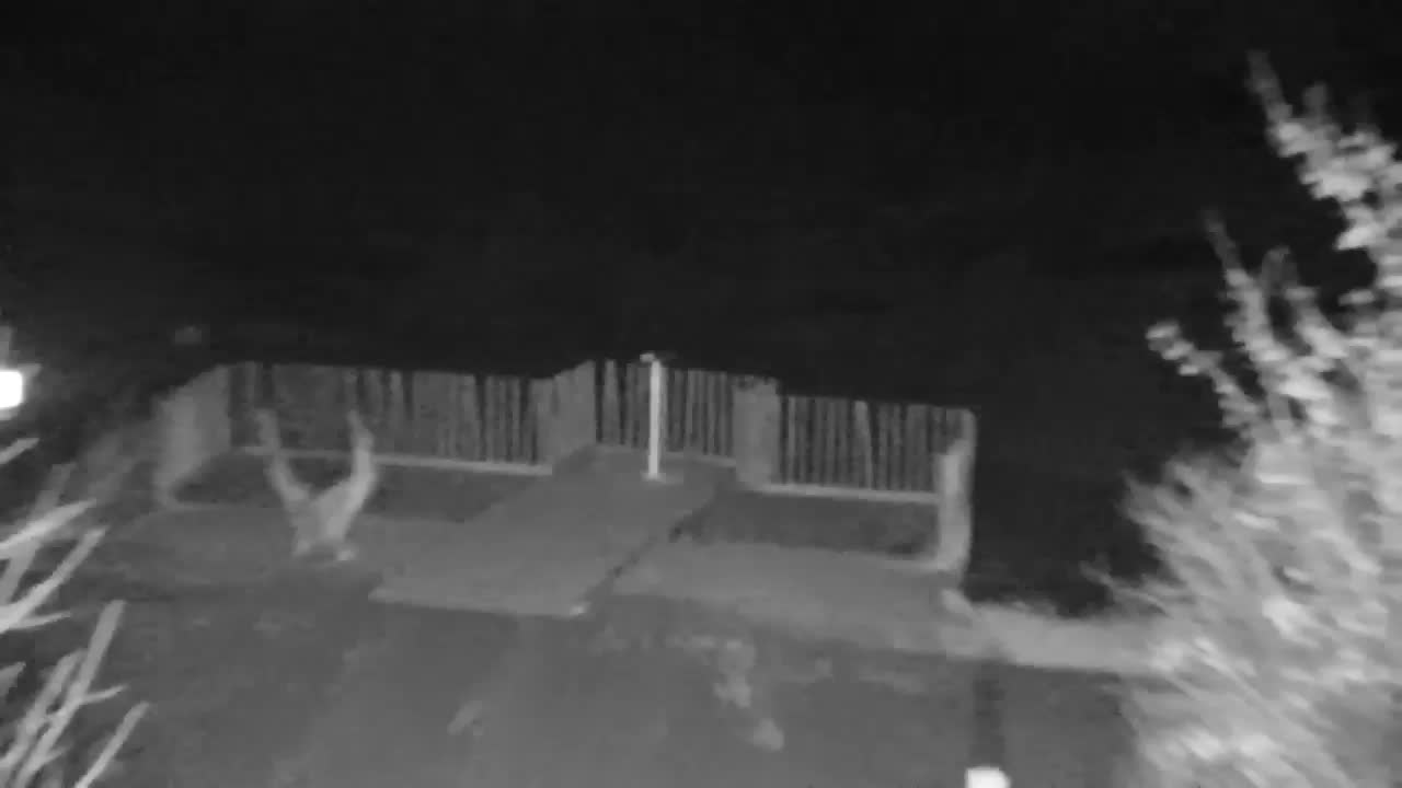 Web kamera Ribnik Vrbje – Žalec